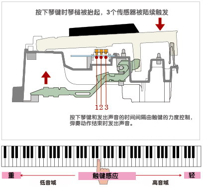 第二代3传感器的渐进式琴锤击弦结构键盘，发声时点如同三角钢琴般精准