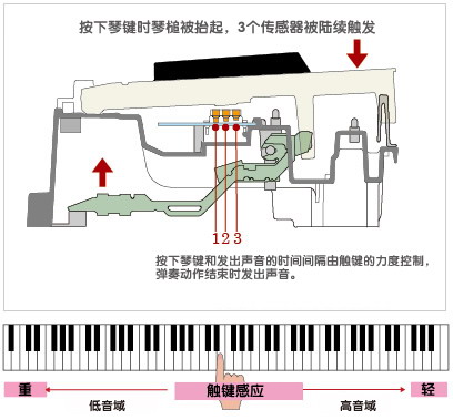 第二代3传感器的渐进式琴锤击弦结构键盘,发声时点如同三角钢琴般精准