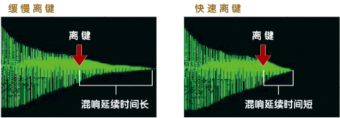 离键模拟器可发出手指离开琴键瞬间声音的音质变化